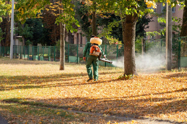 Best Residential Pest Control  in Baker, MT