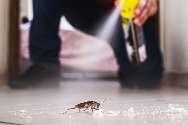 Best Pest Prevention Services  in Baker, MT